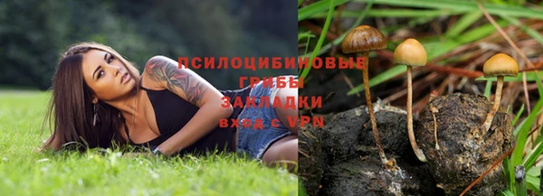 ALPHA PVP Балахна