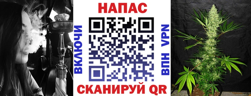 МАРИХУАНА сатива  Козельск 